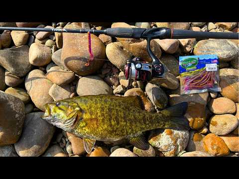 Backyard Fishing Bonanza!! (Personal Best!)