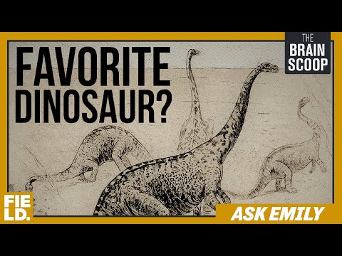 問艾米麗。"最愛 "篇 (Ask Emily: The Favorites Episode)