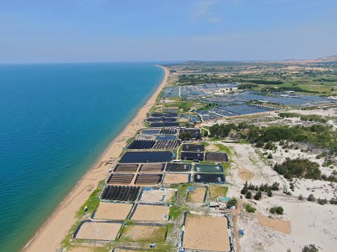 Bán gấp lô đất mặt tiền biển, cơ hội tuyệt vời để sở hữu một mảnh đất mơ ước bên