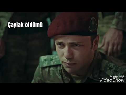 Çaylak öldümü. Analizi