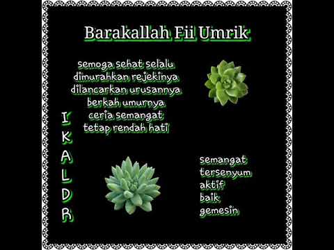 Happy Birthday Ika Ldr