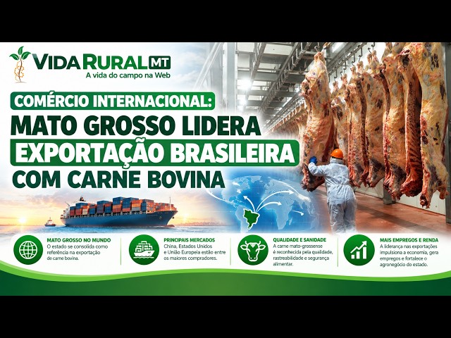 MATO GROSSO LIDERA EXPORTAÇÃO BRASILEIRA COM CARNE BOVINA