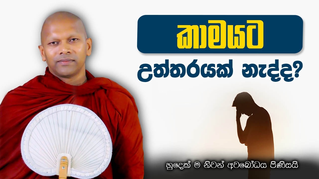 සංකල්පීය වූ ජීවිතය දැකගමු