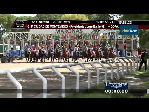 CARREARAS SINT PAYSANDU- WWW.MARONASONLINE.COM