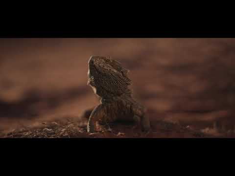 Explore the Red Centre | Go All the Way Out at Ayers Rock Resort