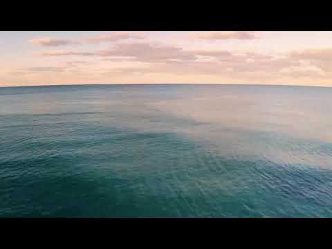 Jornal bom dia Itanhaém - 10/08