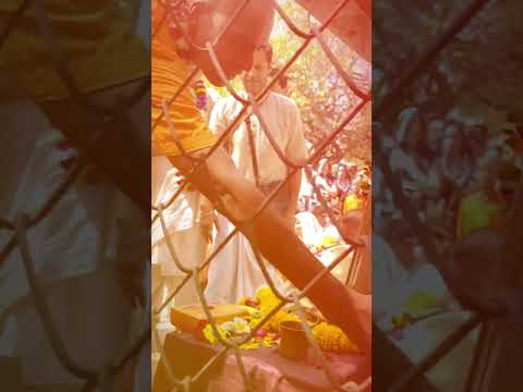 Aindra Prabhu’s Samadhi 2024  #darshan #parikrma #vraja