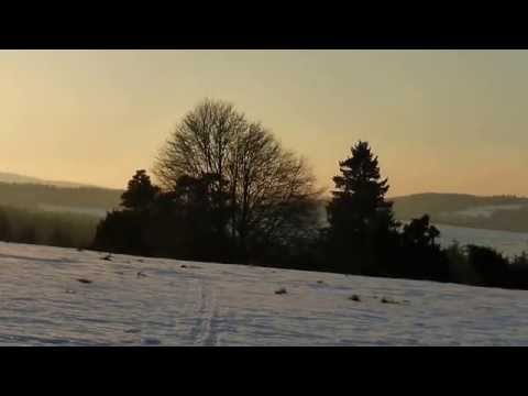 Abendsonne auf dem Heidbüchel