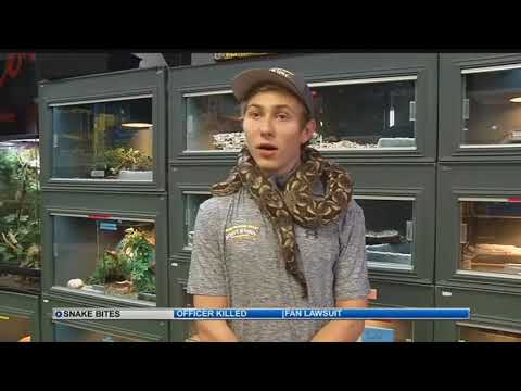 Rattlesnake bite death of hiker in Golden extremely rare