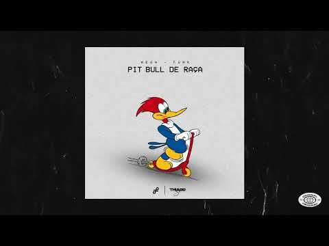MEGA SÓ PITBULL DE RAÇA (DJ THIAGO SC)