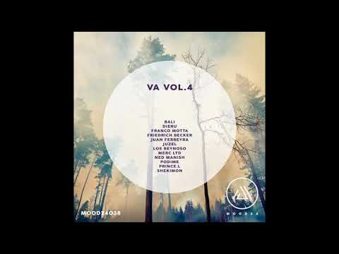 Shekimon - Distorzija