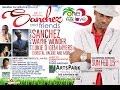 One Love In The Park W Sanchez Friends