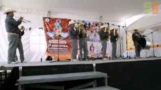 preview picture of video 'Banda de Viento de Santa cruz (San Bartolo Tutotepec, Hgo.)'