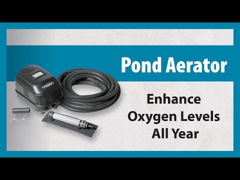 The Pond Guy® Pond Aerator (formerly Water Garden Aeration Kit) – Koi Pond Aeration Kit