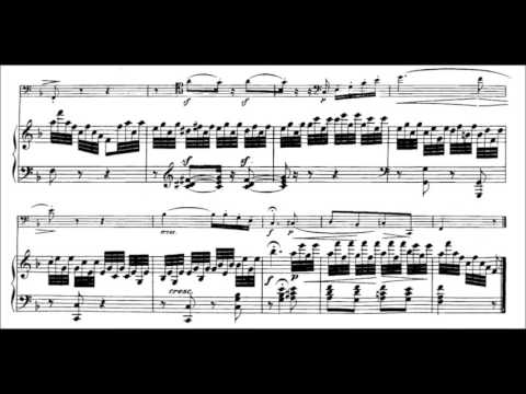 12 Variations on "Ein Mädchen oder Weibchen" for Cello and Piano, Op. 66 : Variation X. Adagio
