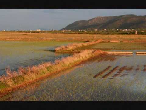 BANDA LLAURI _ Himne de LLaurí