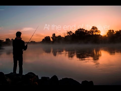 Fiskeri efter aborre, gedde og sandart i hollandske floder
