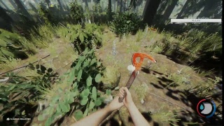 Hardly Amused Live Stream