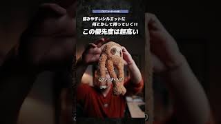 アヒルとノッポ君、見る角度で何が変わる？