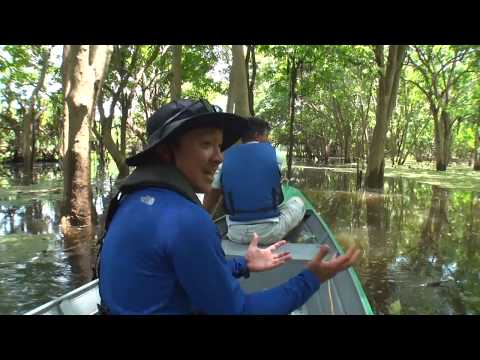 「濱田岳アマゾン体感 暴れ怪魚と猛牛大移動」30秒告知動画