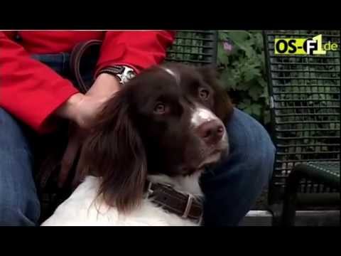 Beitrag Sachkunde Hunde-Theorie-Gabriel OSF1