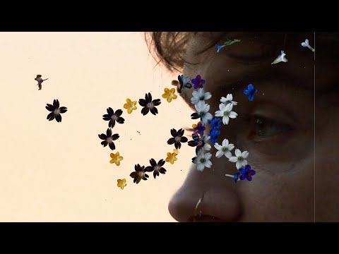 Video thumbnail for Ok (ignoring instincts)