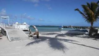 preview picture of video 'Cabeza de Toro Beach, Punta Cana'