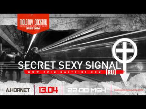 Molotov Cocktail #041 - Secret Sexy Signal [RUS] guest breakbeat mix (13.04.17)