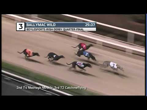 2020 BOYLESPORTS IRISH DERBY - QF 1 - T3 BALLYMAC WILD