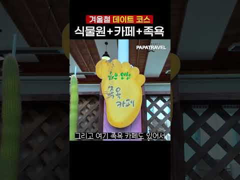 매혹적인 식물원 베이커리 카페: 사계절의 자연과 맛을 즐기다