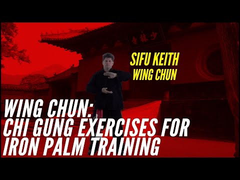 Wing Chun: Chi Gung Exercises for Iron Palm Training