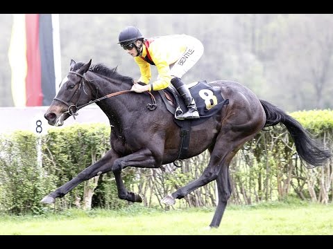 Berlin-Hoppegarten: Preis der Frühlingsboten (D) - Siegerin: Turfdonna