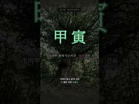 제자리에 굳건히 선 나무 | 갑인(甲寅) 일주
