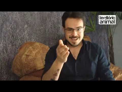 Bem-Vindos de Volta - Programa Território Animal