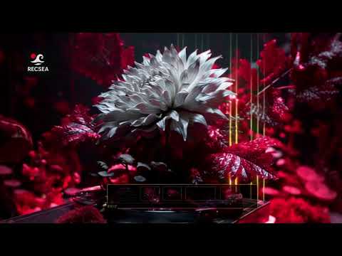 Desde el comienzo - Rodrigo Aguirre