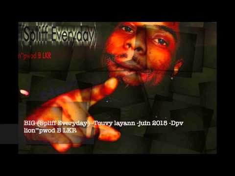 BIG Spliff Everyday--  Touvy layann  juin 2015  Dpv lion'''pwod B LKR