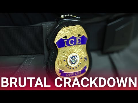 Multiple illegal immigrants arrested in massive ICE raid as agents swarm home