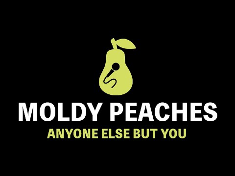 Moldy Peaches - Anyone Else But You (Karaoke)