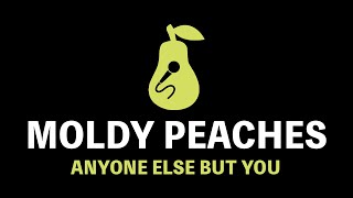 Moldy Peaches - Anyone Else But You (Karaoke)