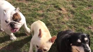 Happy, Eva, & Francesca (playing around ReeseCup)