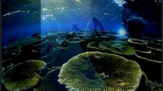 Disappointed in th sun - dEUS