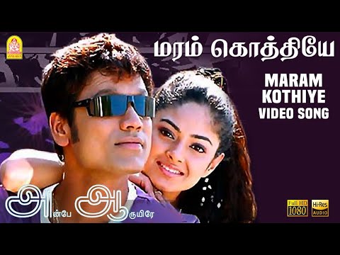Maram Kothiye - HD Video Song | மரம் கொத்தியே | Anbe Aaruyire | SJ Suryah | Nila | A.R.Rahman
