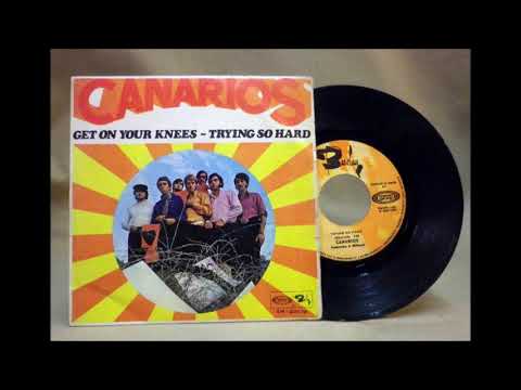 Los Canarios - Trying So Hard