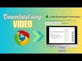 Download Any Video Easily With Video Downloader Professional Free Chrome Extension