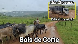 Derrapou No Embarcador!🚚🚚🚚