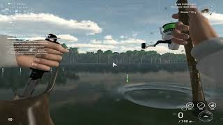 Easy Giraffe Catfish with Dried fish heads   Fishing Planet