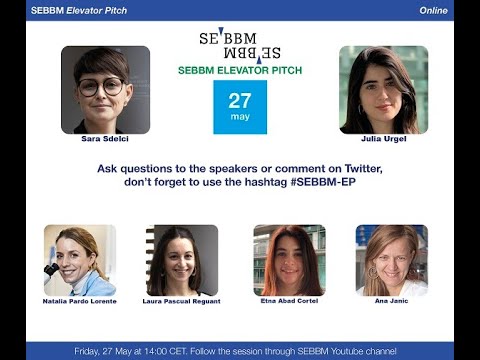 Webinar SEBBM - Elevator Pitch 12