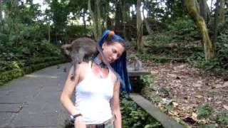 preview picture of video 'Ubud Monkey Forest'