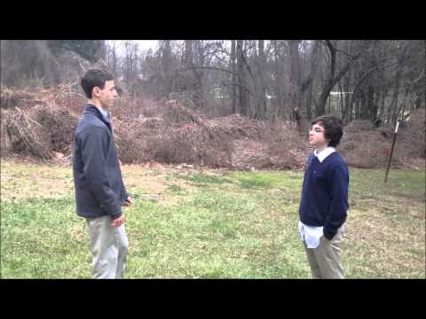 The Roman Principate