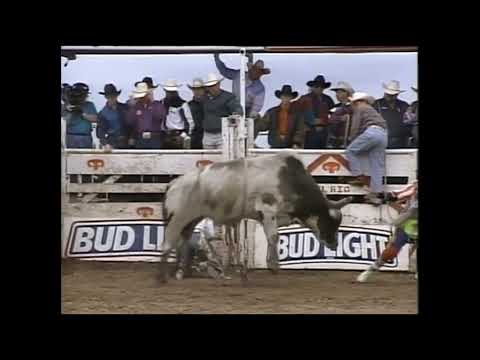 Gunslinger bucks Shawn Egg - 94 PBR Del Rio